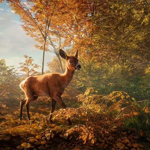 theHunter Call of the Wild - Duck and Cover Pack DLC Cd Key Steam Global